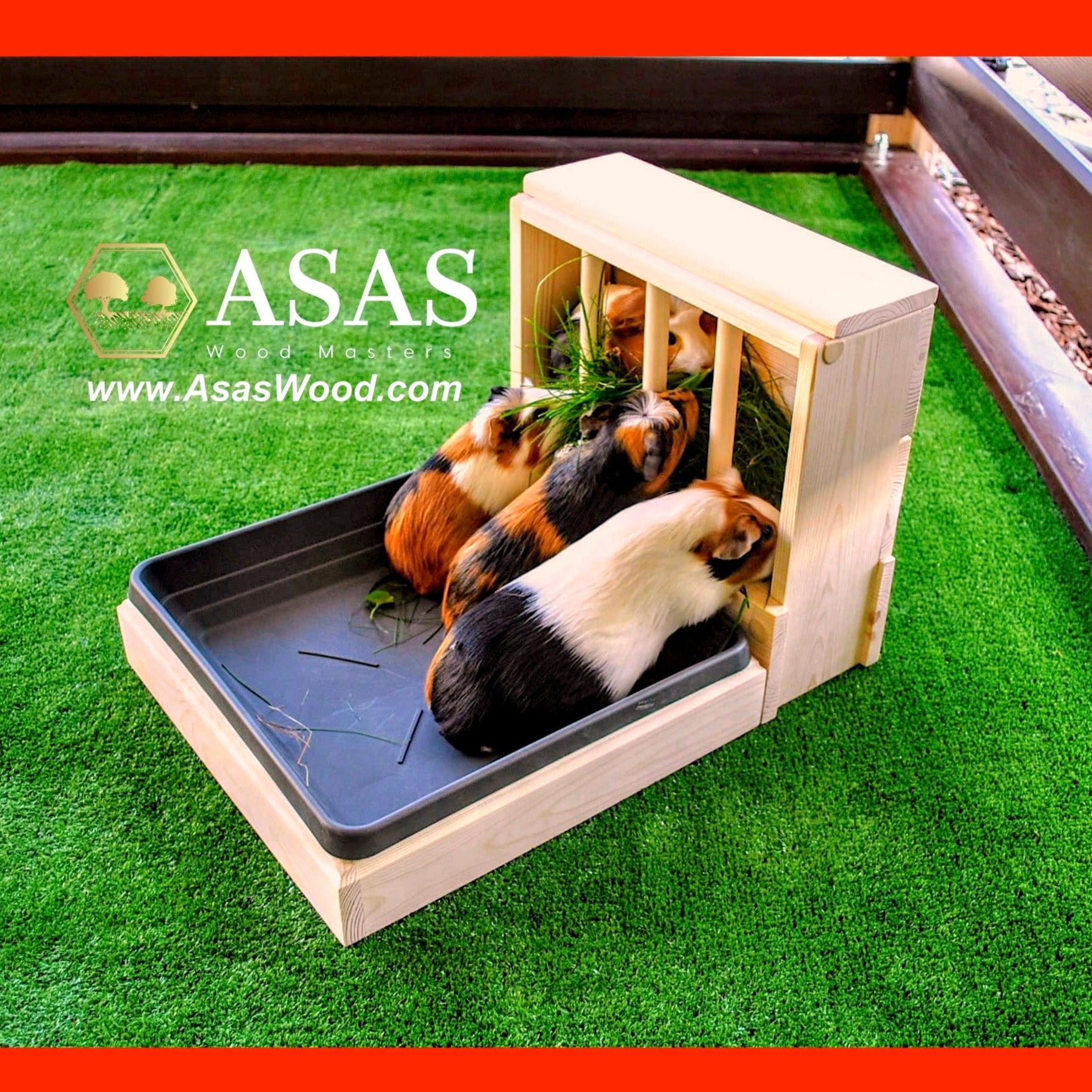 Litter Train What Can You Train A Guinea Pig To Do Toilet Training