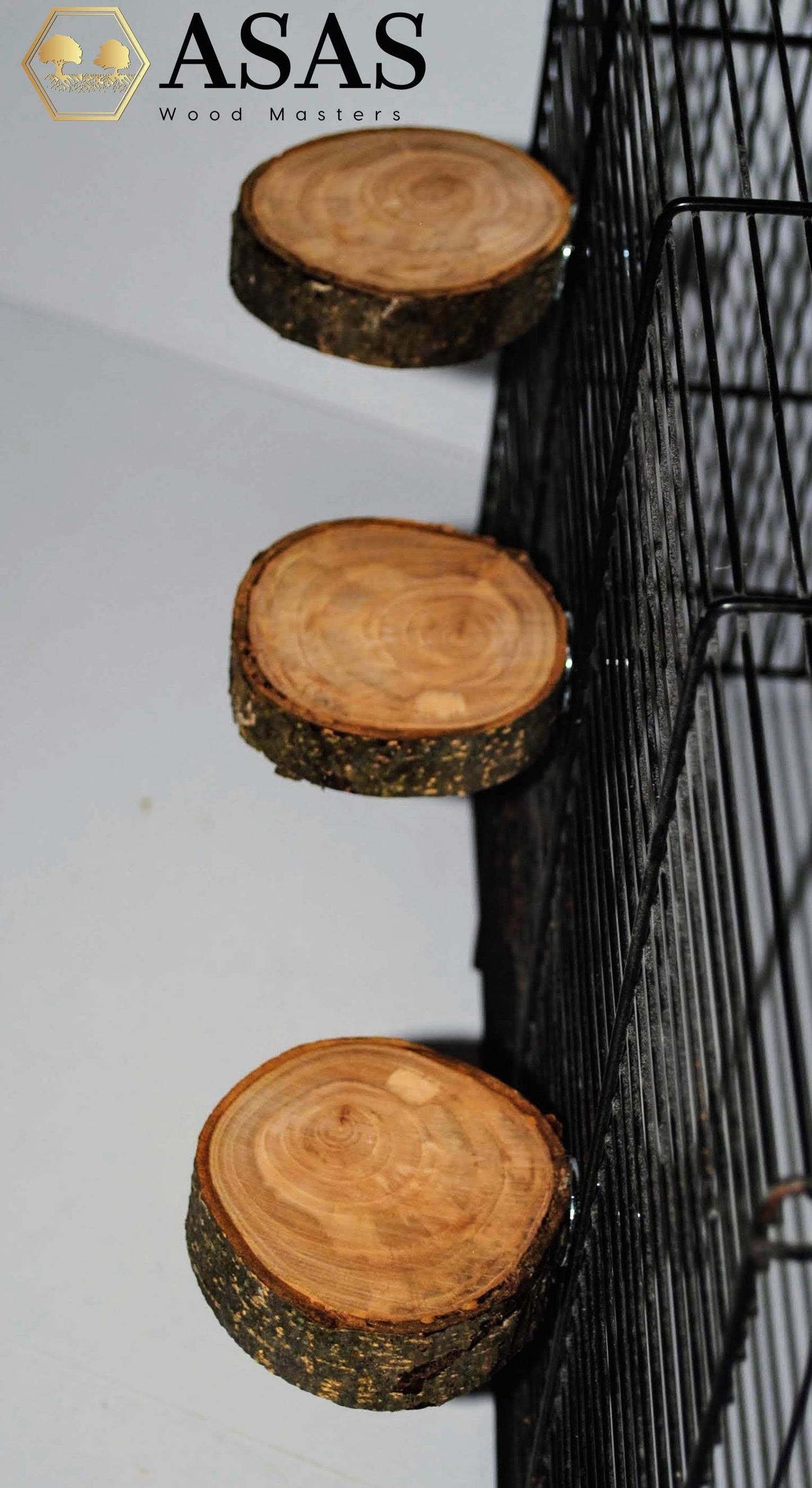 very nice chinchilla ledges for chinchilla cage