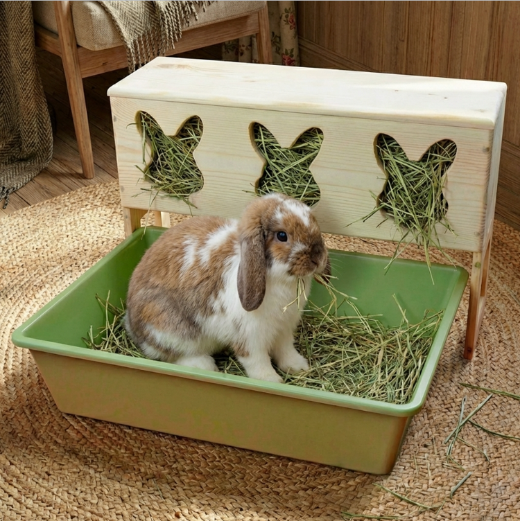 🐰 Why Rabbits Eat and Poop at the Same Time (And How to Use It) – AsasWood