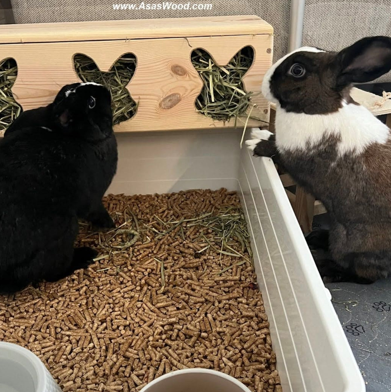 rabbit eating hay from elevated wooden rabbit hay feeder