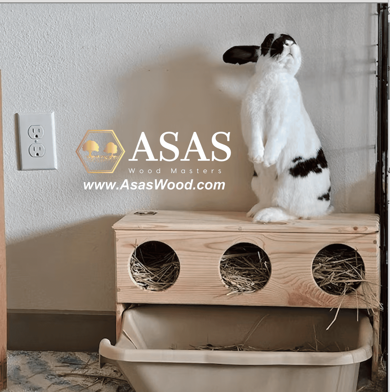 Rabbit on the top of rabbit hay feeder