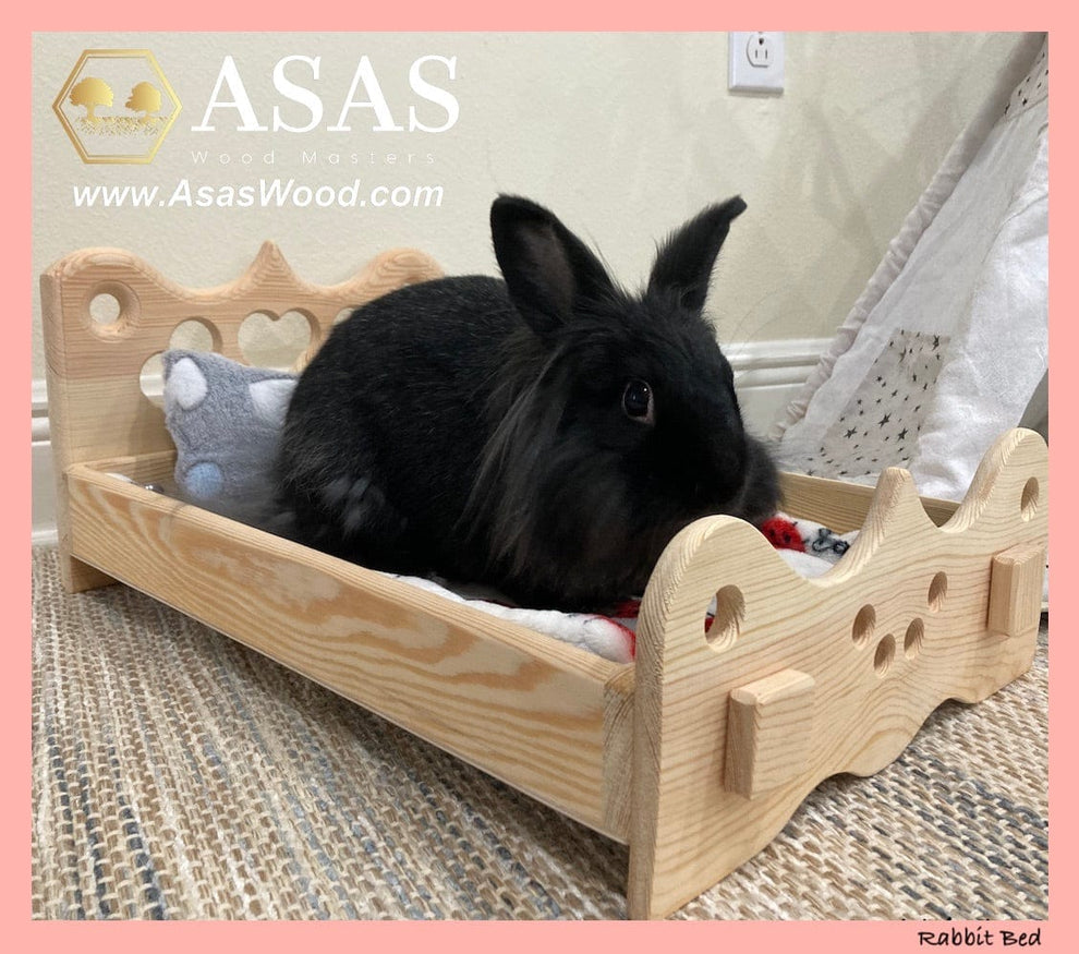 Rabbit Bed ️ Bunny Bed ️ from Kiln Dried Pine – AsasWood