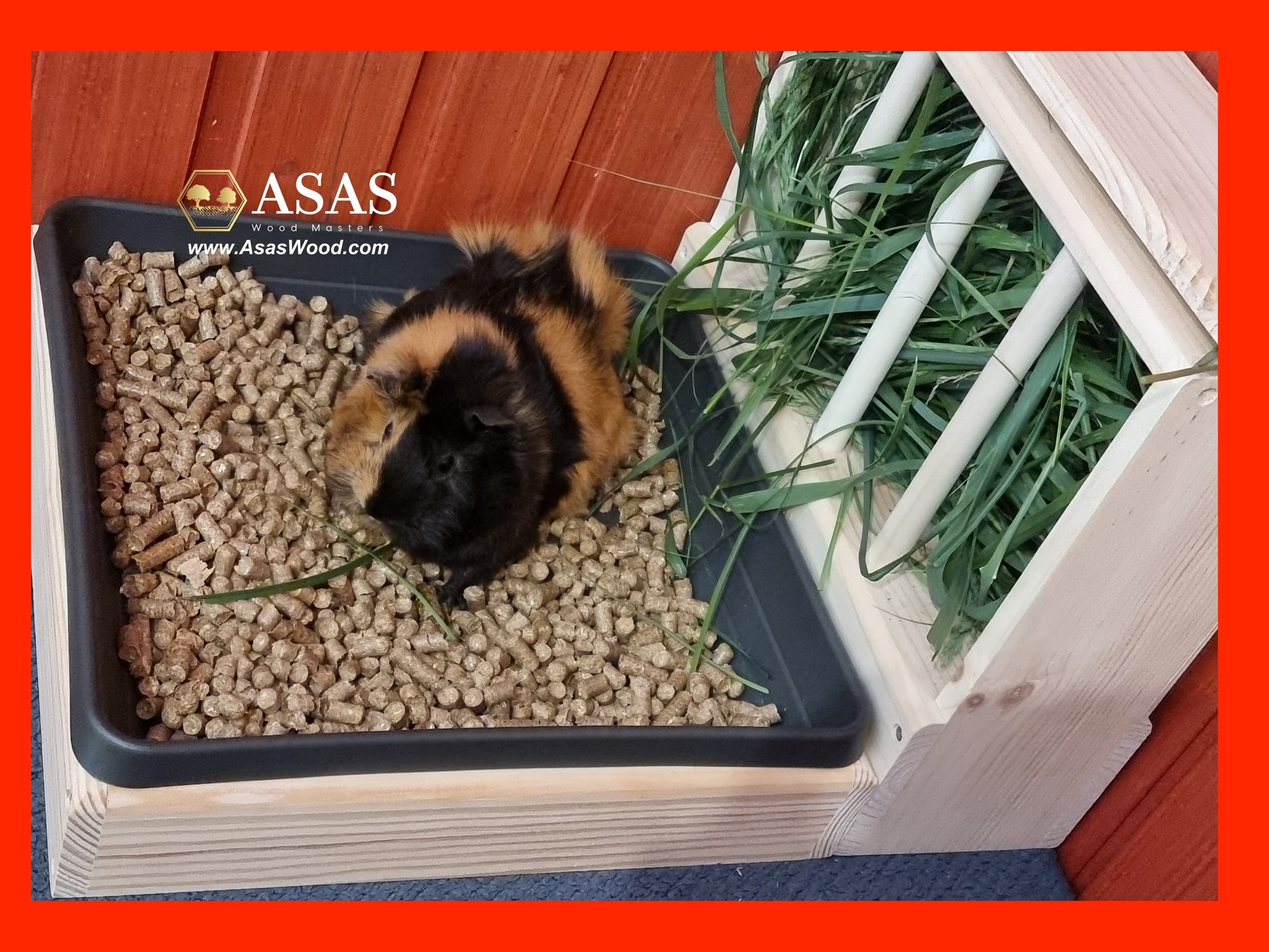 Guinea Pig Hay feeder with Litter box ❤️ – AsasWood