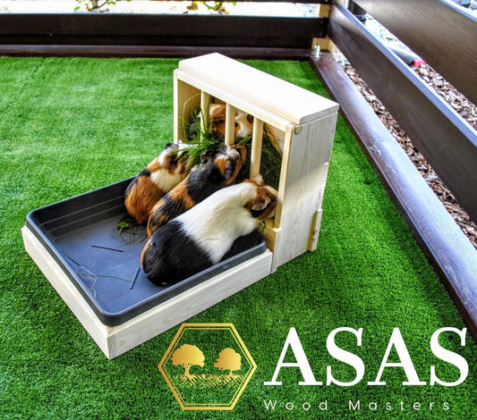 Guinea pig hay feeder with litter box and four cute guinea pigs eating grass 