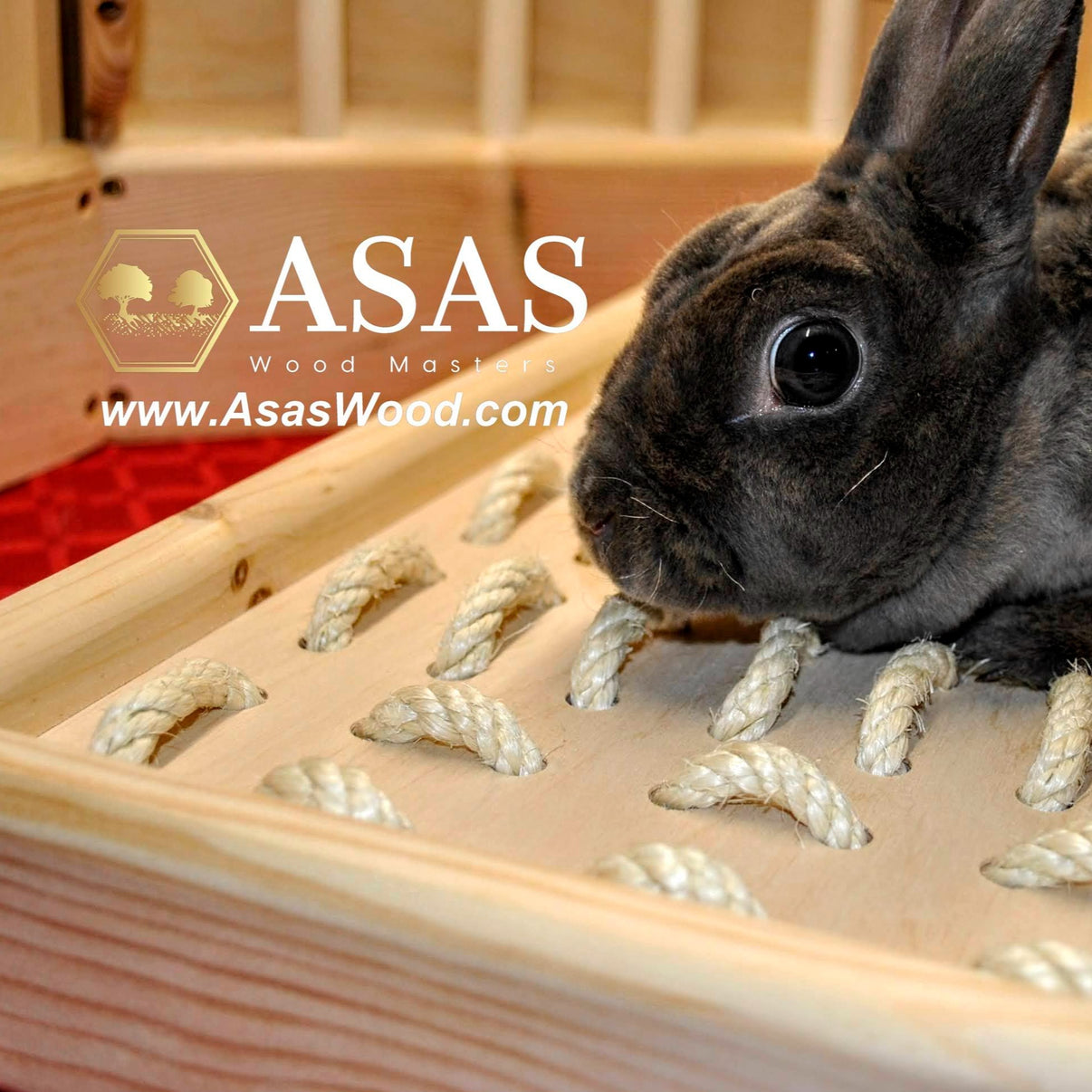 Rabbit Digging Box ️ Rabbit Digging Platform – AsasWood